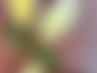 Aam'er Payesh ( Mango Kheer )