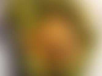 Kizhi Porotta , with love from Kerala