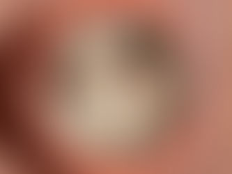 A human emotion : Kolkata Biryani