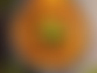 A Chicken - Ham & Leek Pie in all it's gorgeousness