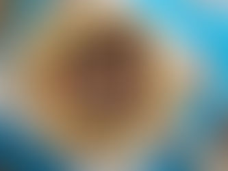 Mushroom & Cherry Tomato Galette