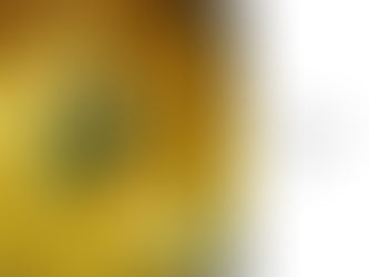 How to Steam a Fish - Bong Style