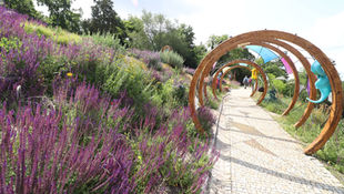 Botanická zahrada v Troji otevře novou interaktivní expozici Rostlinná odysea. Představí evoluci ve světě rostlin