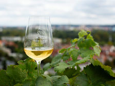 Vinobraní na Vinici sv. Kláry v Troji se koná už za měsíc. Botanická zahrada zahájila předprodej vstupenek