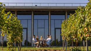 Jižní Morava dohání Wachau a Moselu. Evropané mění vinařskou turistiku