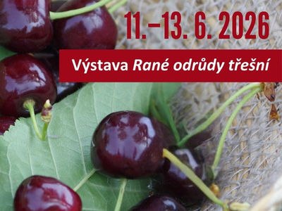 Výstava Rané odrůdy třešní 