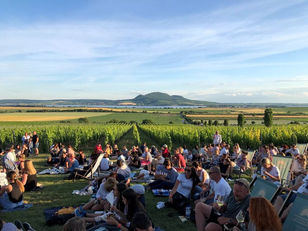 Jak festival Hudba na vinicích mění moravský venkov. Vinařství se stávají kulturními centry regionů