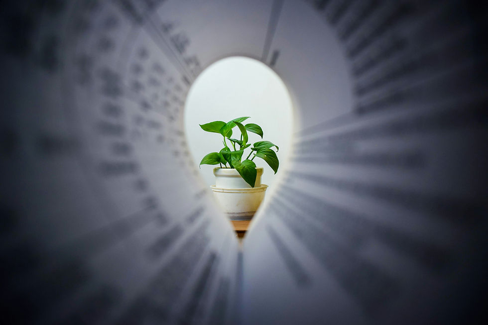 A thriving green plant framed by the pages of a business book, symbolizing growth and fresh perspectives in the sustainable business world.