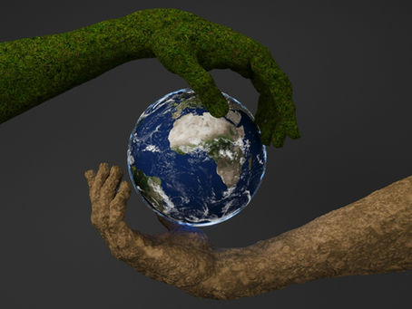 Sustainable Business Owners: How to Keep Your Business Green for the Long Haul