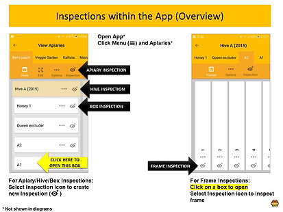 App Inspections Overview.jpg