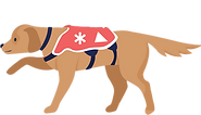 6_edited.png