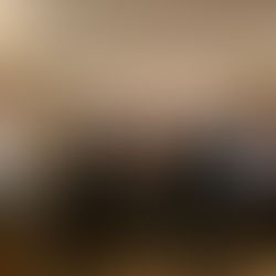 The waste management industry in Mid-Norway is joining forces