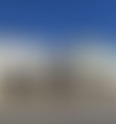 Publix at Seven Hill's Opening 