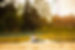 dan_morris_photography-571.jpg