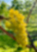 IMG_1432.jpeg