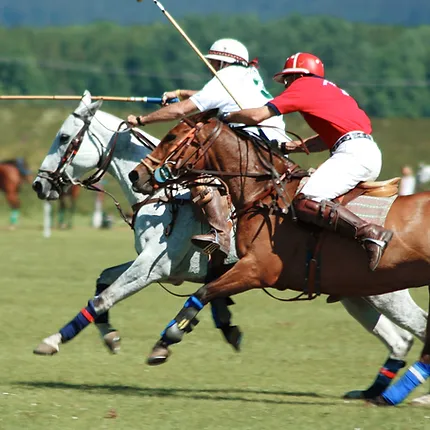 Cirencester park Polo Club