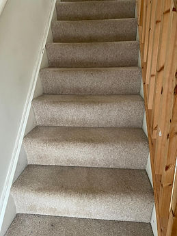 carpet.jpeg