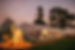 dan_morris_photography-696.jpg