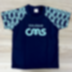 Camiseta Marinho Raglan (até 9º ano) | CMS