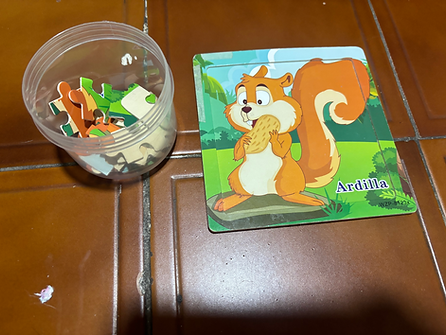 Atención, habilidades visoespaciales