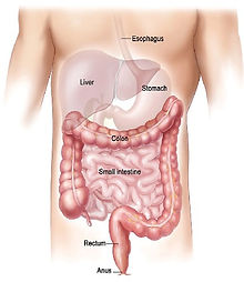 Colonic Cleanse