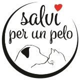 MINI LOGO SALVI PER UN PELO.jpg