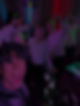 White Noise Band | WSB Hospice