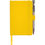 Thumbnail: The Back Pocket