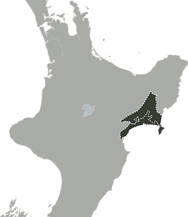 Wairoa.png