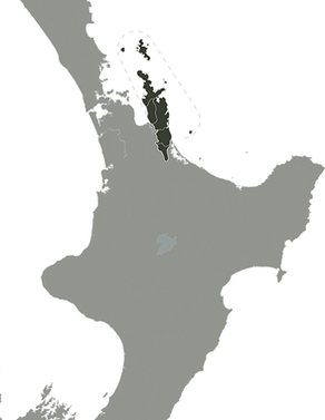 Coromandel.png