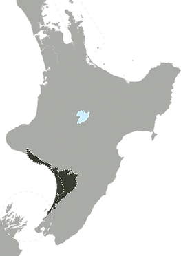 Manawatu.png