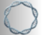Design ohne Titel-46.jpeg