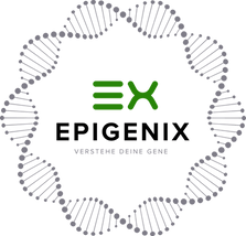 Logo EpigeniX - Verstehe deine Gene