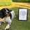Thumbnail: A4 Dog Drawing (unframed)