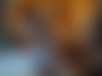 Artist Interview - Laura Beirne Interiors