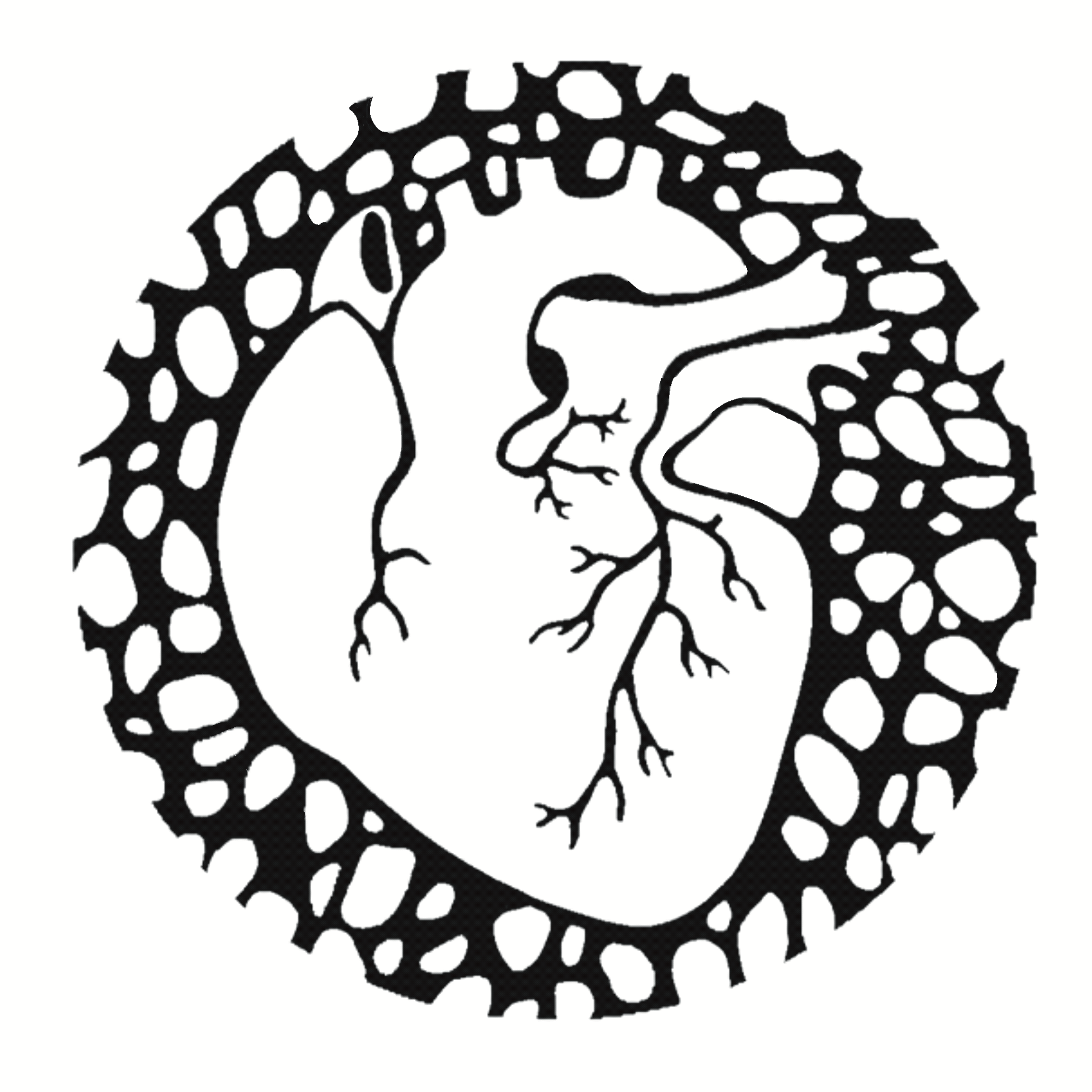 Untitled_Artwork.gif