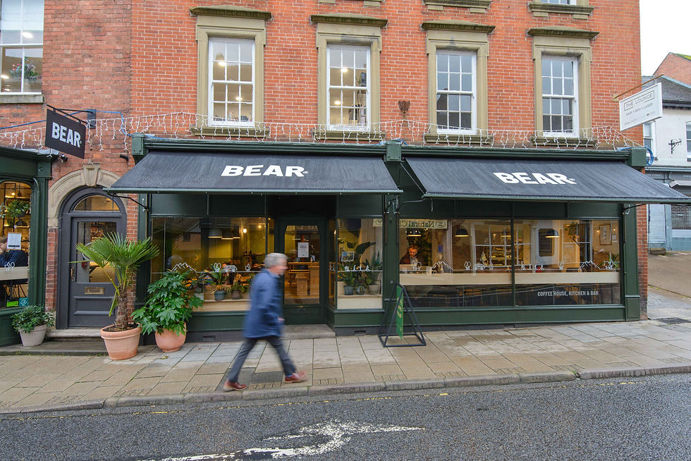 Bear-Ashbourne-127-EDITED.jpg