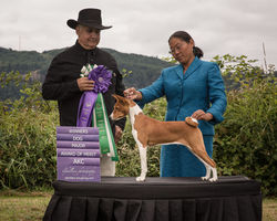 294352580_464396555529367_169337297485491919_n