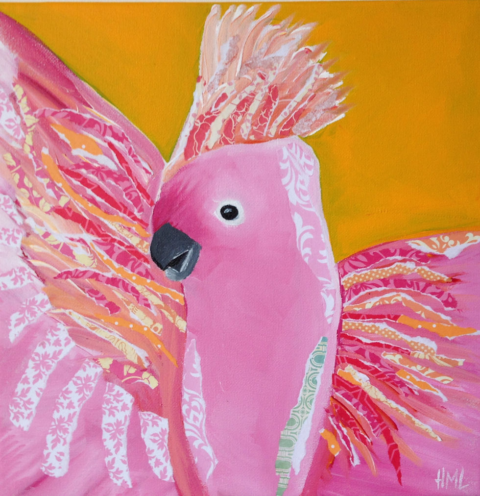 Pink Cockatoo