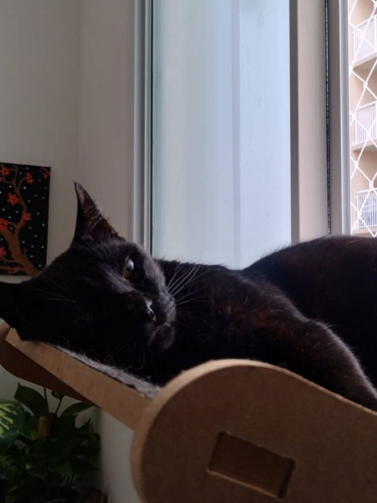 Salem