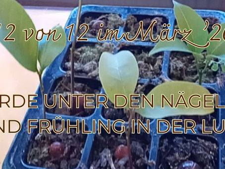 12 von 12 März '26 - Erde unter den Nägeln und Frühling in der Luft