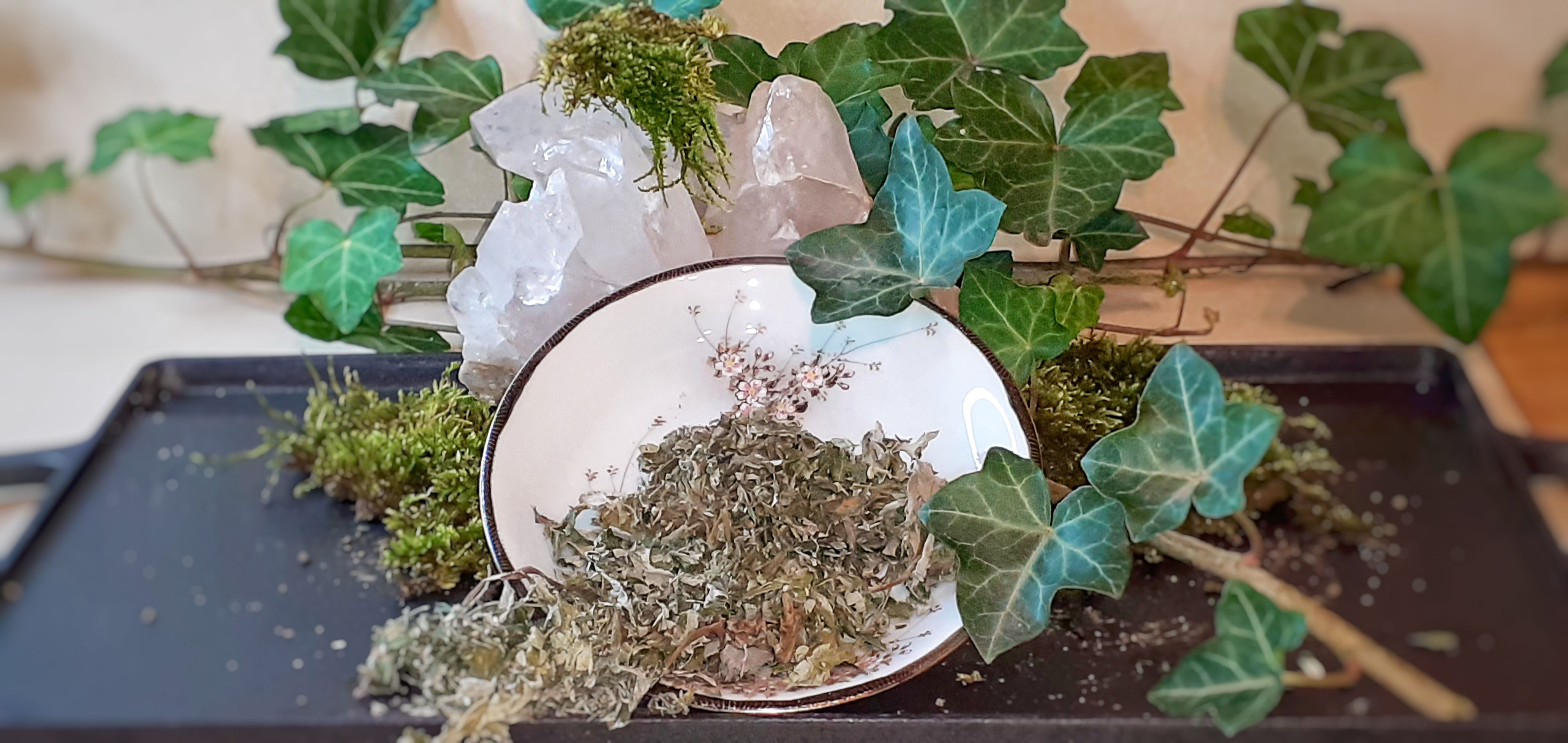 Beifuss - Schutz & Reinigung