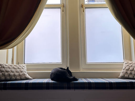 Letting with pets: A guide for the Edinburgh Pet Owner
