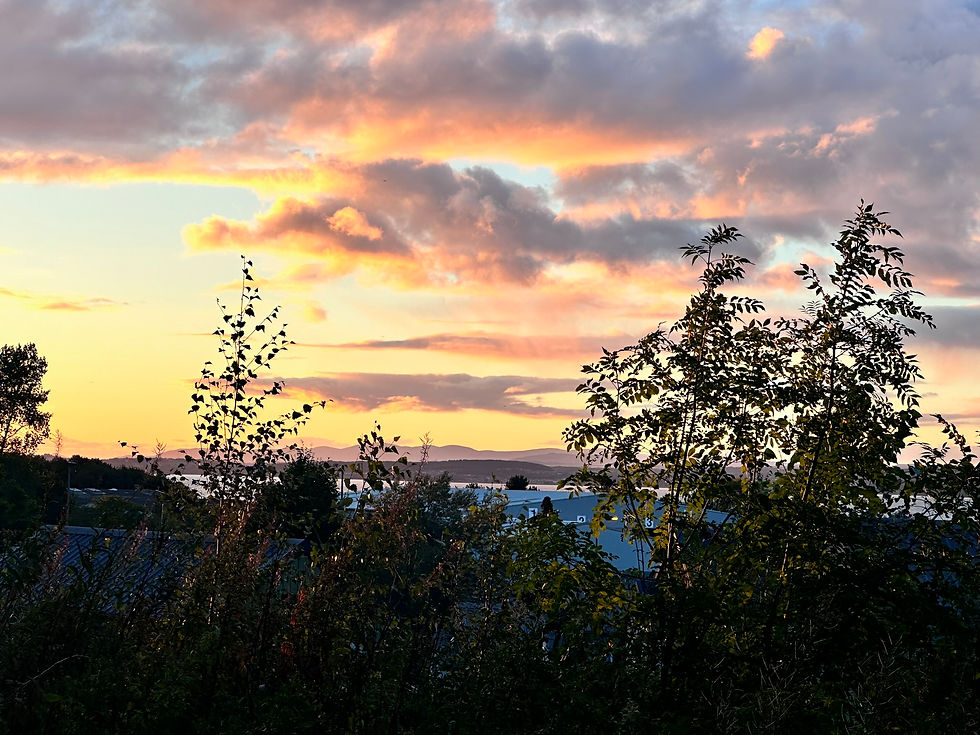 Green wild bushes in the foreground with small buildings in the distance before a beautiful sunset with water and purple hills and fluffy clouds in the far distance. 
