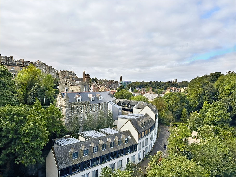 Small flats, historic flats, and tenements all in rows on a valley wall surrounded by greener with a cloudy bright blue grey sky.