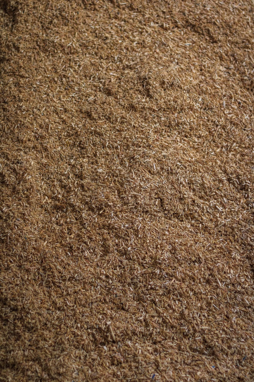 Wood_Shavings_18.jpeg