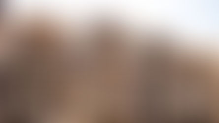 Understanding Pallet Grades: A Guide for Procurement Managers