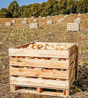 custom vegetable crate