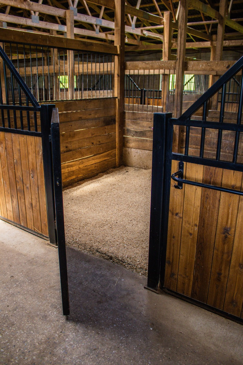 horse stall with freshly laid wood shavings