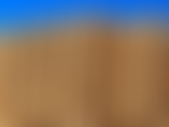 How to Choose a High-Volume Pallet Supplier